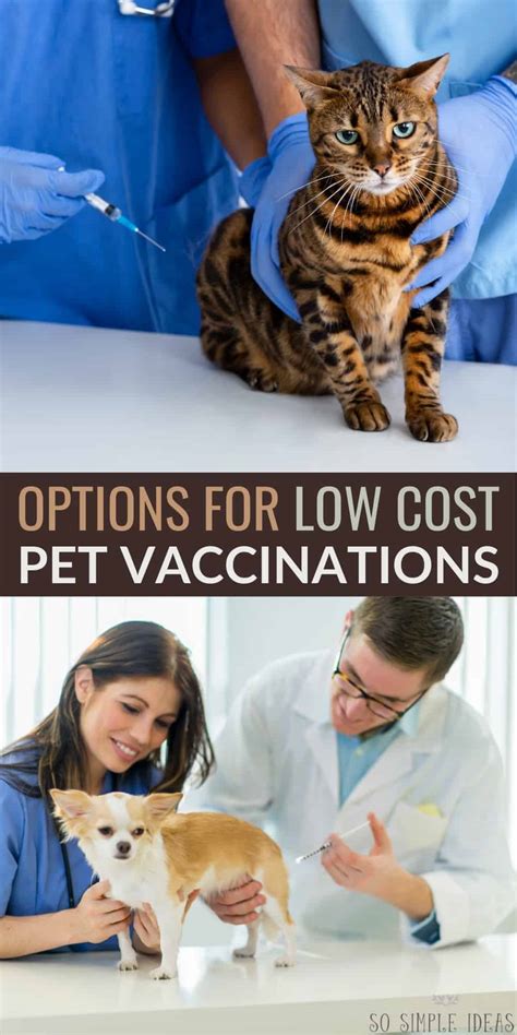 Our pet vaccination clinic provides rabies vaccin