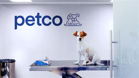 Petco offers affordable spaying and neutering for cats and dogs at our full-service pet hospitals. Check out veterinary services provided by Petco to book an appointment at a great cost. Benefits Of Spaying And Neutering Your Pet.. 
