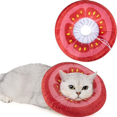 Petco soft cone cat.  We started out by using an inflatable donut-style collar.  Elastic ...