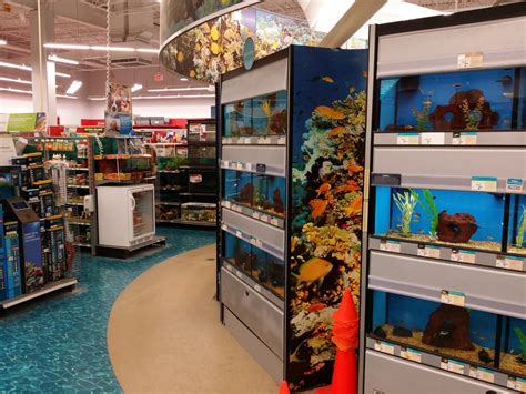Petco watertown ny. Things To Know About Petco watertown ny. 