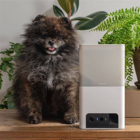 Petcube. Chat to your dog or cat (or goldfish, naturally) when you're out of the house, and get alerts when they're up to mischief. 