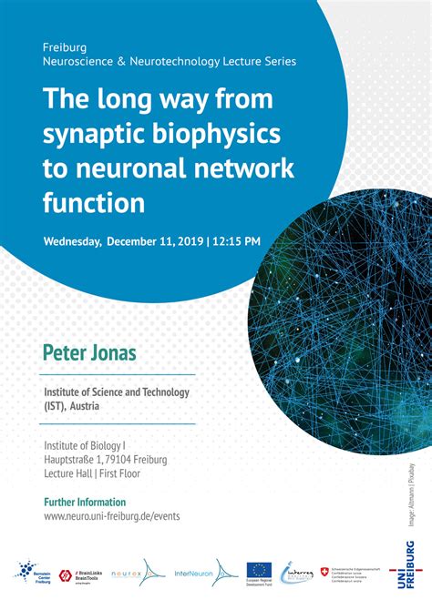 Peter Jonas - Publications - Neurotree