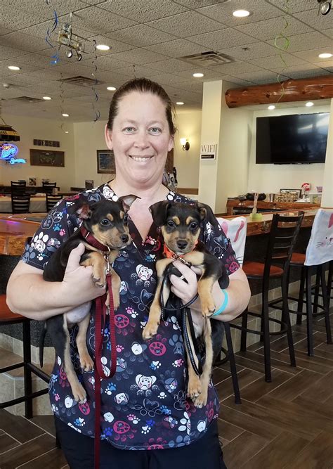 Peter Pan Fond du Lac Humane Society. 