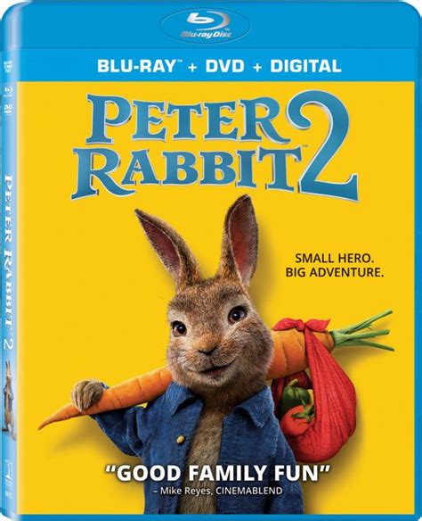 Peter Rabbit 2 [Includes Digital Copy] [Blu-ray/DVD] [2024] - Bestbuy