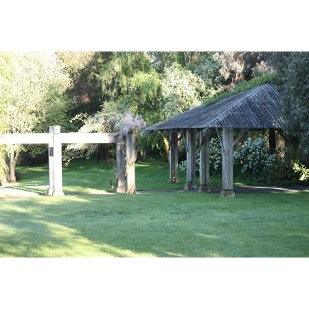 Peter tobin funerals ballarat live stream.  Webcasts are found on our personalised To...