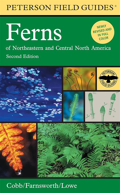 Peterson field guide to ferns northeastern and central north america 2nd edition. - The complete idiots guide to the cold war.