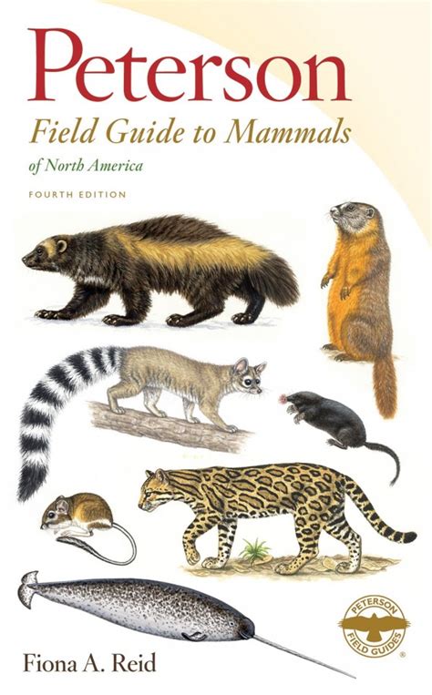 Peterson field guide to finding mammals in north america peterson field guides. - A guide to buying and selling peace morgan silver dollars u s silver coin series book 2.