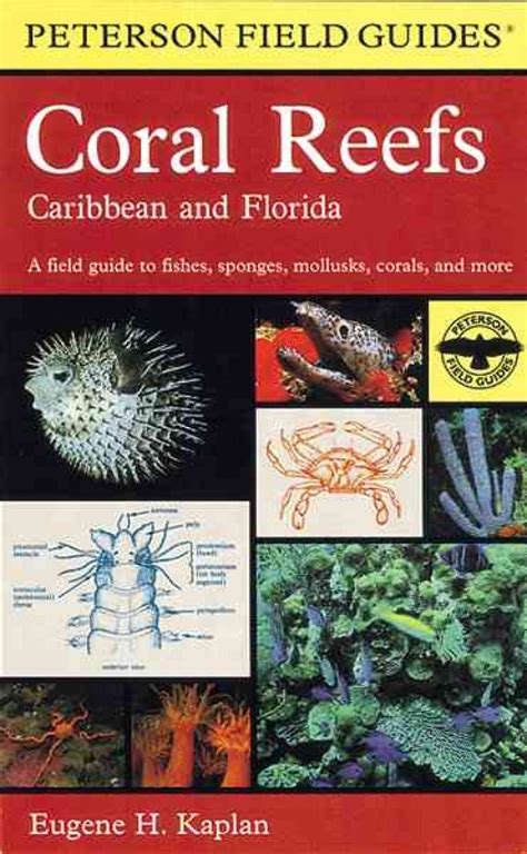 Peterson field guider to coral reefs of the caribbean and florida peterson field guide series. - Frog and toad a swim guided plan.