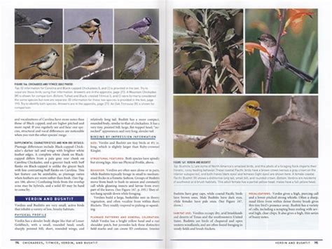Peterson reference guides birding by impression a different approach to knowing and identifying birds. - El libro de las malas palabras.