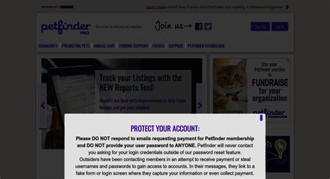 Petfinder member login. Enquirers will directly contact you. Find Dogs, Cats, Rabbits, Hamsters and Birds for Adoption, Sale, Lost and Found, All Ages at PetFinder.my. Lots of cute animals are available here for sale and adoption. Look for your lost dogs and cats at … 