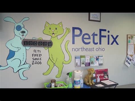 Petfix. The PetFix Story. Since PetFix Northeast Ohio launched its low-cost spay/neuter services in 2006, we have performed more than 100,000 surgeries, preventing the births of hundreds of thousands of pets destined to end up in area shelters or struggling to survive on the streets alone. We have also helped thousands of people who struggle to put ... 