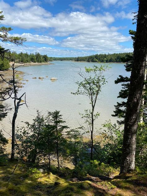 Petit Manan Wildlife Refuge - Birch Point Trail