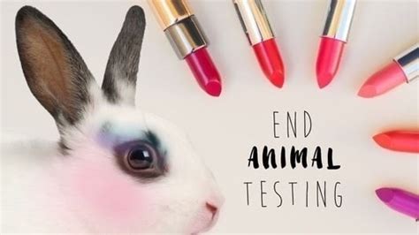 Petition · Maybelline Needs to Stop Animal Testing · Change.org