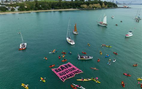 Petition to ban bottom trawling in the Hauraki Gulf