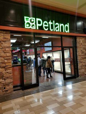Petland buford. Petland Buford Mall of Georgia. 49. Pet Stores Pet Training. Located in Mall of Georgia “conditions, mistreatment or disease at any breeders, puppy mills, pet stores or animal shelters. ... 