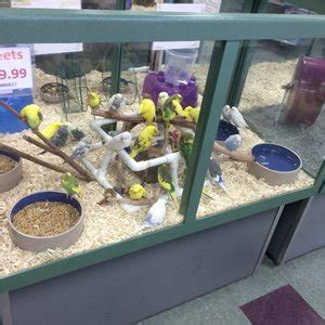 Petland fort walton beach. Things To Know About Petland fort walton beach. 