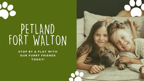 Petland Ft. Walton Beach, Fort Walton Beach, Florida. 3,650 likes · 254 talking about this · 1,154 were here. Locally owned and operated since 2001! . 