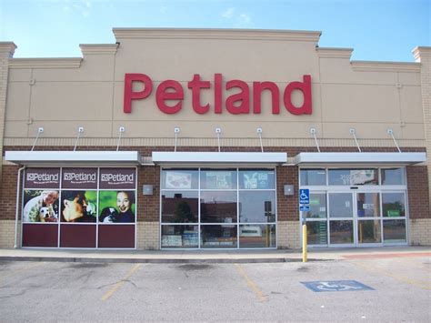 Petland Rogers at Pinnacle Hills | Premium Pet Store (479) 372-4400 Welcome to Petland Rogers at Pinnacle Hills Find Your Perfect Pet Whether you are a puppy lover, feathers, …. 