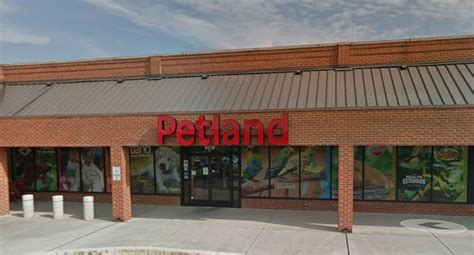 Petland knoxville knoxville. 188 Part Time Weekend Hospital jobs available in John Sevier, TN on Indeed.com. Apply to Veterinary Receptionist, Dishwasher, Patient Access Manager and more! 