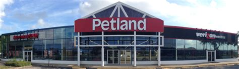 Petland Florida is super attentive and detail-oriented when it comes to our puppies and our breeders. Let us find the perfect dog breed for you! ... LARGO . 10289 ... 