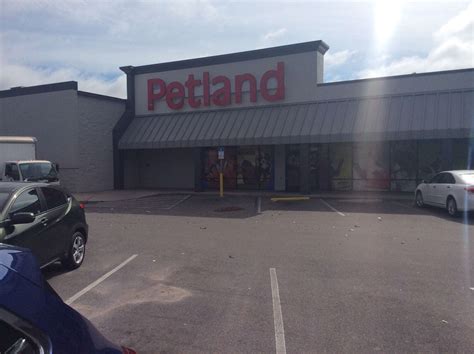 Petland pensacola fl. Petland Pensacola, Florida. 6235 N Davis Hwy Pensacola, FL 32504. Store Hours. Monday-Saturday 10am-9pm Sunday 11am-8pm. Facebook Instagram YouTube. Quick Links. Special Financing* About Us; Adopted Pet Gallery; Contact Us; Video Gallery; Some of Our 5-Star Reviews 