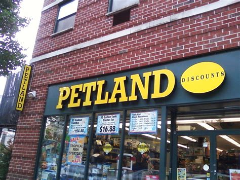 Petland york commons. Things To Know About Petland york commons. 