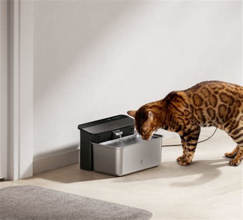 Petlibro water fountain. PETLIBRO Cat Water Fountain Ultra Quiet with Two Flow Modes, Large-Size Filter Capsule Pet Water Fountain, 71oz/2.1L Visible Water Level Dog Water Dispenser for Cats & Dogs. 4.3 out of 5 stars. 14,707. 1K+ bought in past month. $29.99 $ 29. 99. $5.00 coupon applied at checkout Save $5.00 with coupon. 