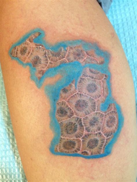 Petoskey stone tattoo. Learn how to hand polish a Petoskey stone without any expensive machinery.The Petoskey stone (Hexagonaria percarinata) is an approximately 360 million old fo... 