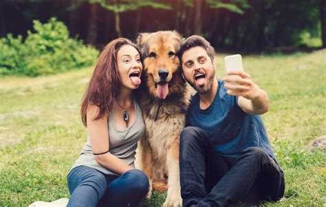 Florida Pet Ownership Stats. 56% of Florida households own a pet. 39.8% of Florida households own a dog. 24.2% of Florida households own a cat. WalletHub named Tampa, Florida the #1 most pet-friendly city in America in 2020. ( Source)