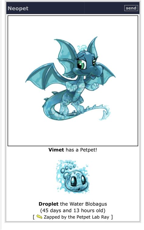 I really REALLY hate the petpet lab ray system. While its understandable WHY the petpet ray functions like that(to prevent people from generating rare pets to sell from cheap ones) I REALLY detest that there are lab ray EXCLUSIVE colors that you can never collect because you can never remove them from your neopet.. 