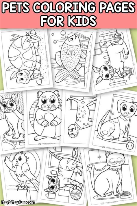 Pets Coloring Pages For Kids Itsybitsyfun Com