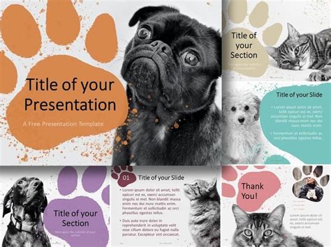 Pets Template for PowerPoint and Google Slides PresentationGO Pets