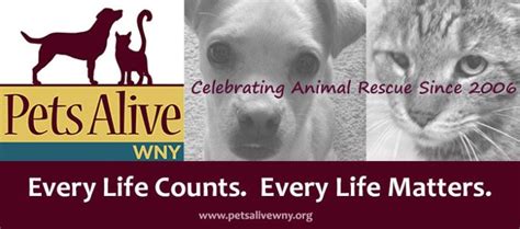 Pets alive wny dog adoption center. It is National Adopt a Shelter Pet Day! Post pictures of your your adopted pets in the comments and tell us where you adopted them from ️ 
