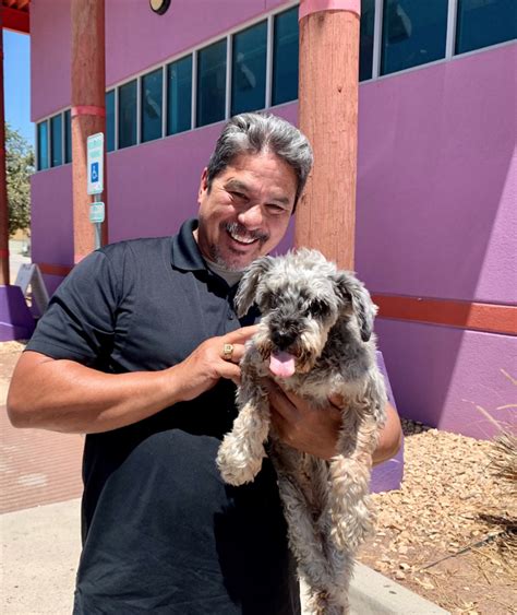 Pets el paso. See 14 photos and 3 tips from 119 visitors to El Paso Animal Services. "Very happy with how I was treated and helped throughout the process of..." 