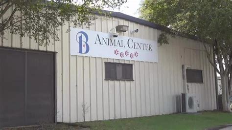 Pets for Adoption at Bryan Animal Center, in Bryan, TX