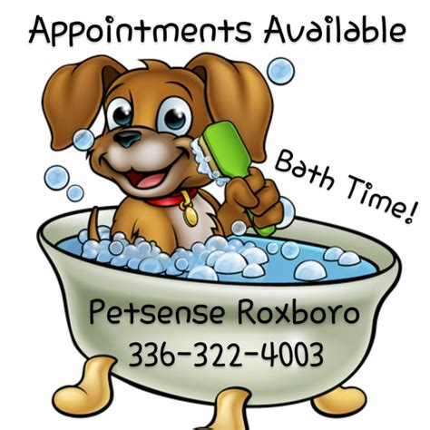 View all Petsense jobs in Roxboro, NC - Roxboro jobs - Technician jobs in Roxboro, NC; Salary Search: Grooming Technician in Training salaries in Roxboro, NC; See popular questions & answers about Petsense; View similar jobs with this employer. Groomer, Petsense. Petsense. Roxboro, NC 27573. Estimated $31.3K - $39.6K a year. …. 