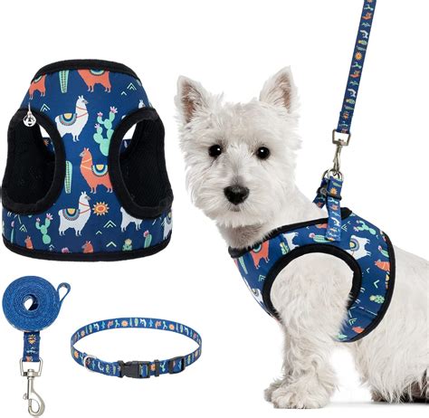 24 inch hot sale dog crate petsmart