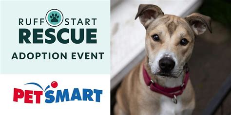 Petsmart adoption weekend. At North Wales PetSmart pet stores, you'll find essential pet supplies and services. This location offers Grooming, PetsHotel, Doggie Day Camp, Training, Adoptions, Veterinary and Curbside Pickup. Visit us at 145 Witchwood Dr or call us at (215) 699-9366 for an appointment. The PetSmart Treats program earns points for purchases and pet services! 