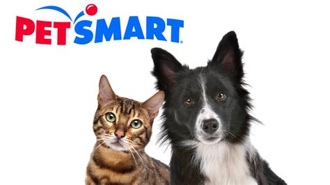 Petsmart alliance. Things To Know About Petsmart alliance. 