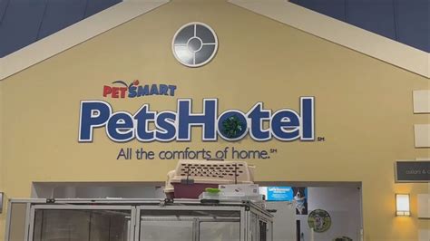 Petsmart boarding dogs. Things To Know About Petsmart boarding dogs. 