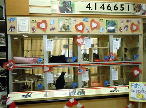 Petsmart cat shelter. We work with dog & cat adoption partners across North America to help pets in need find loving homes. Adopt a pet today at a PetSmart adoption event near you. ... give a pet in need the loving home … 