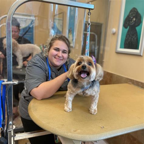 Petsmart grooming hours today. Get Directions. Book now. Open today until. Sun 8am - 6pm. Mon 7am - 9pm. Tue 7am - 9pm. Wed 7am - 9pm. Thu 7am - 9pm. Fri 7am - 9pm. Sat 7am - 9pm. Grooming … 