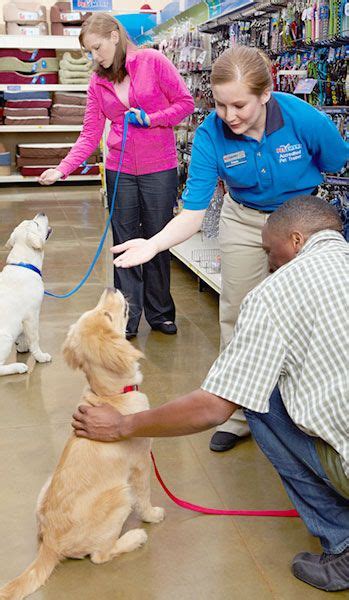 When it comes to taking care of our beloved pets, having access to a wide range of high-quality pet supplies is essential. PetSmart, one of the leading pet retailers in North Ameri.... Petsmart obedience classes