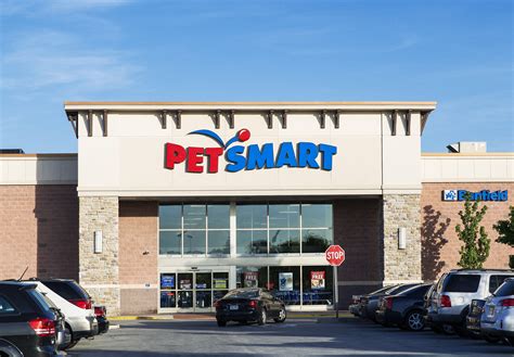 Visit your local Surprise PetSmart store for essential pet supplies like food, treats and more from top brands. Our store also offers Grooming, Training, Adoptions, Veterinary and Curbside Pickup. Find us at 13764 W Bell Rd or call (623) 546-8500 to learn more. Earn PetSmart Treats loyalty points with every purchase and get members-only discounts. 