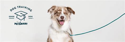 Petsmart puppy training classes. We offer three levels of dog training courses and experienced pet parents, and graduates can also learn more advanced skills, like special tricks and therapy dog training. We … 