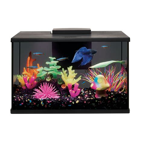Petsmart tropical fish.  Find high-quality aquarium supplies from Top Fin at ...