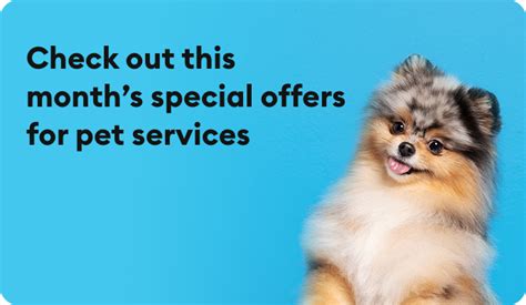 Petsmart vacaville.  Our Pet Stylists are experienced with a variety of...