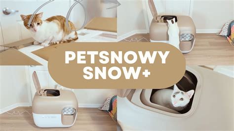 Petsnowy litter box. Easy-to-follow instructions for cat owners to use the PetSnowy Litter Box. 