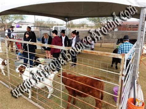 Petting Zoo Rentals Near Me in Mohave County, AZ - The Bash