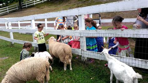 Petting zoo rental near me. Things To Know About Petting zoo rental near me. 